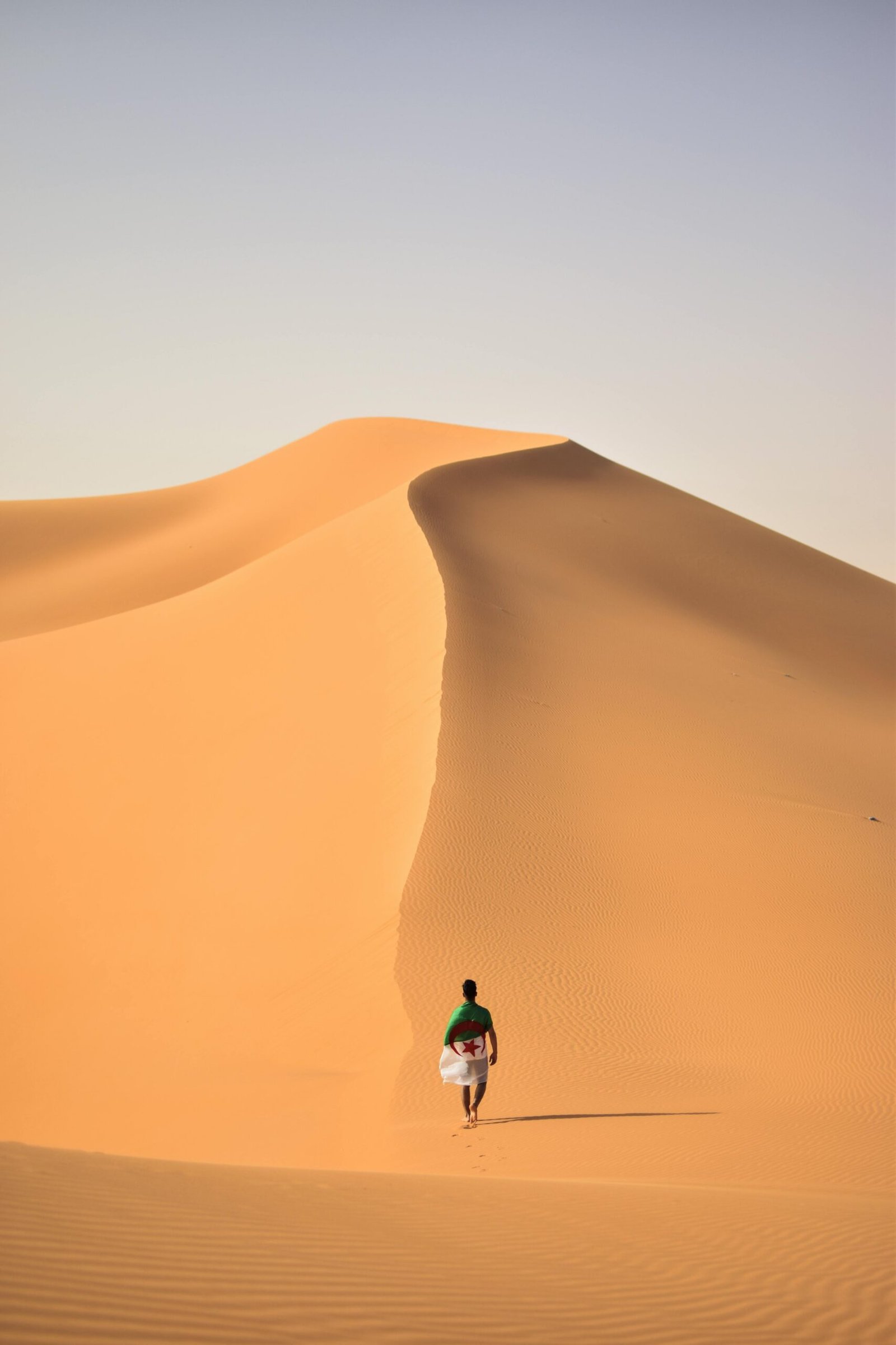 pexels mohamedelaminemsiouri 2245436
