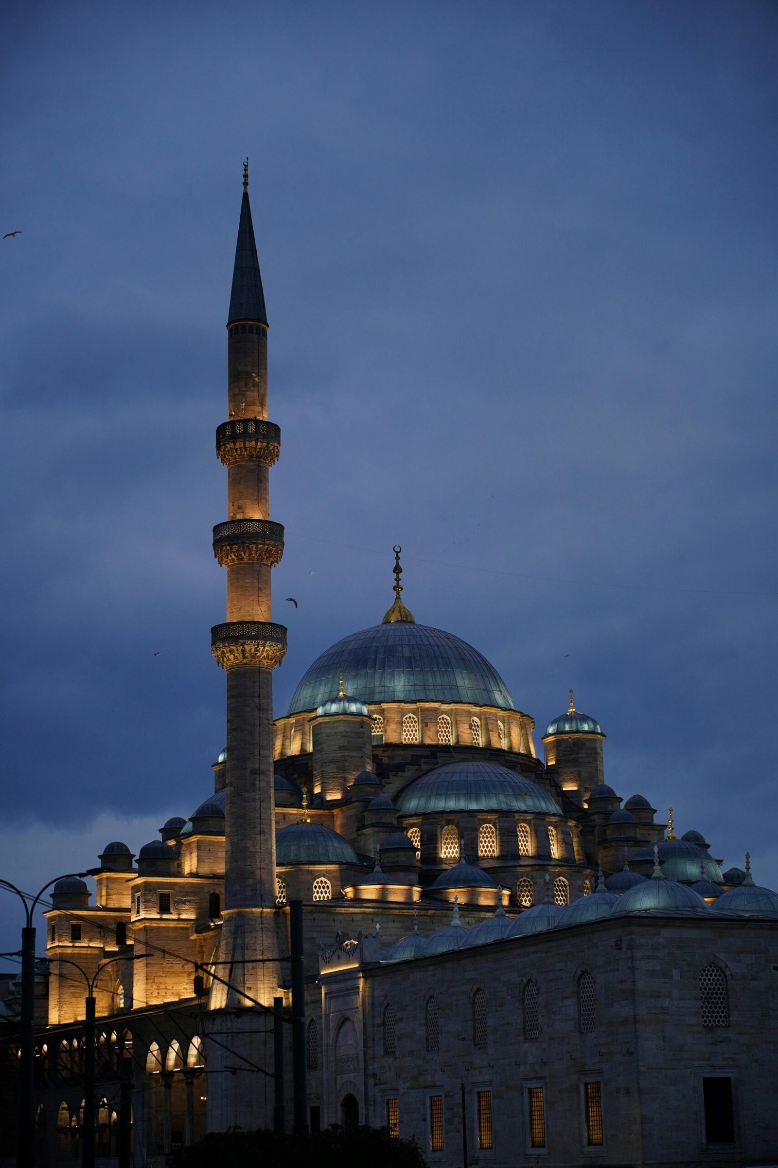 pexels sema nur 949285251 29806522